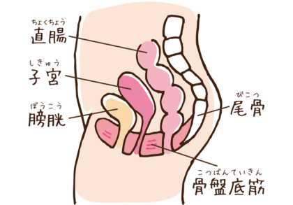 吹田市で骨盤底筋トレーニングチェアをお探しなら、たはらウィメンズクリニック│不妊治療・婦人科・女性内科